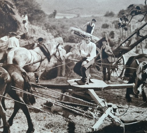 la ferme en 1950
